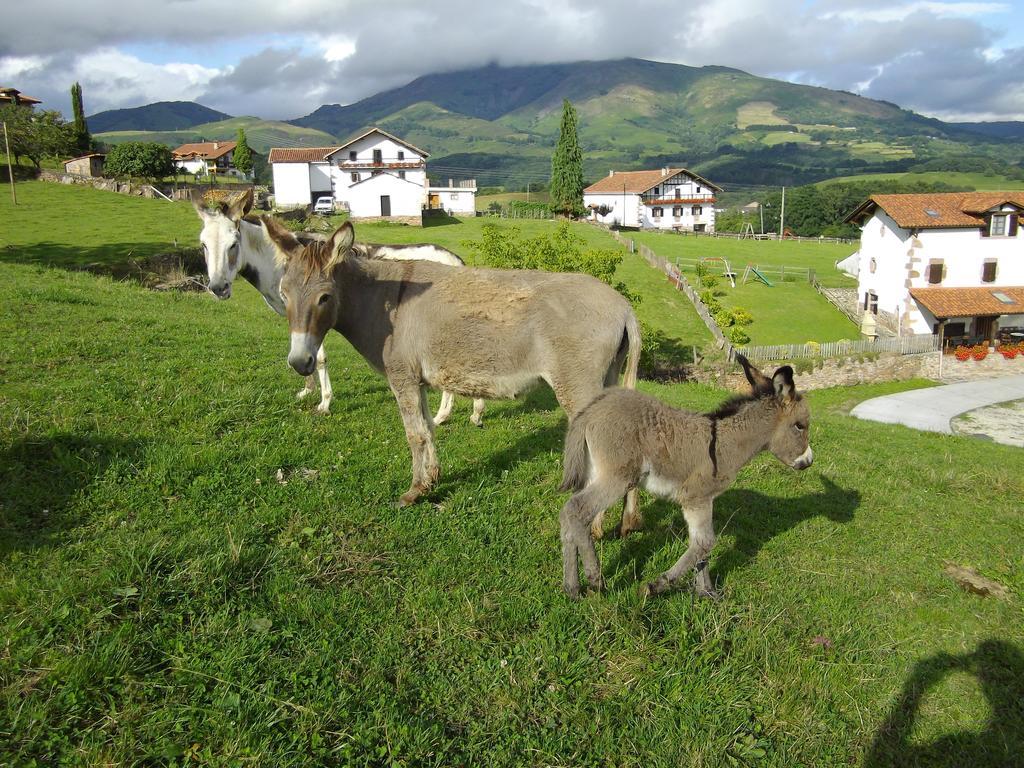 Casa Rural Gananea Zuaztoy de Azpilcueta Cameră foto